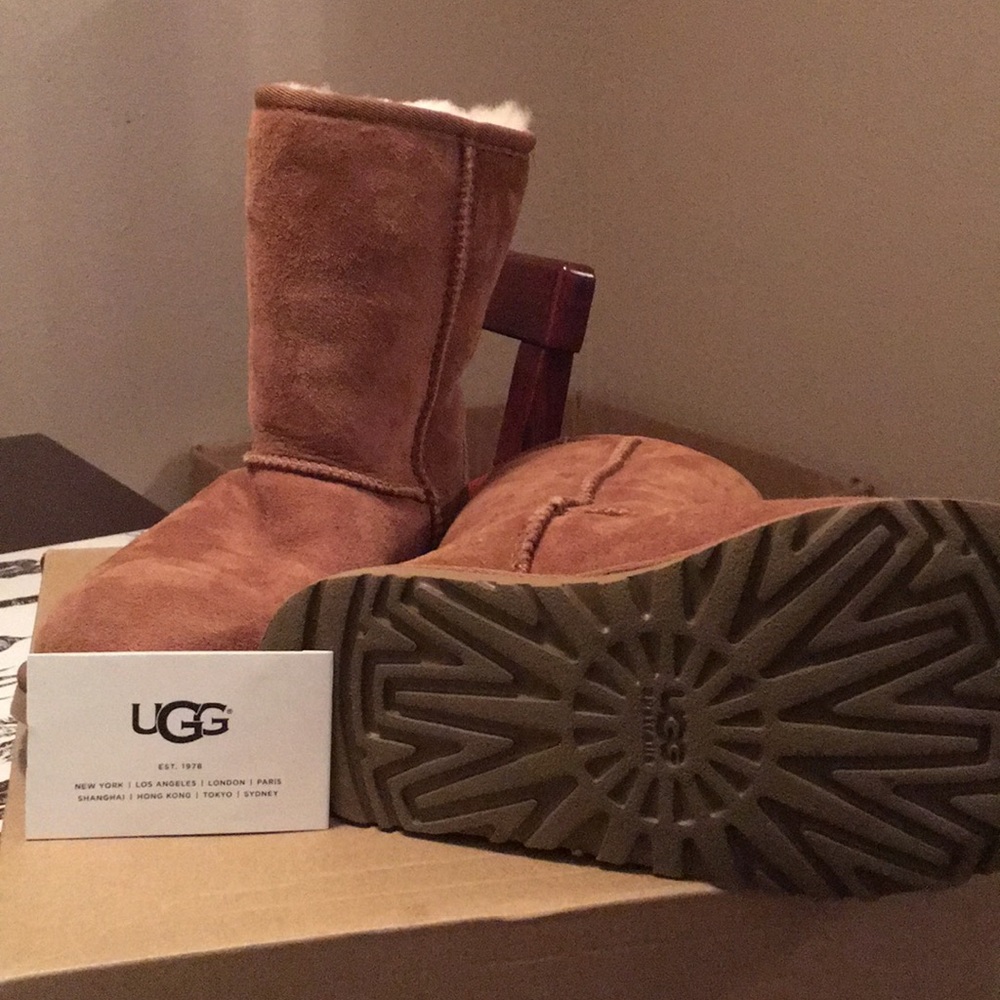 Uggs classic short